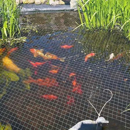 Weltenbummler - Deine Gruene Auszeit Im Spreewald * Luebbenau